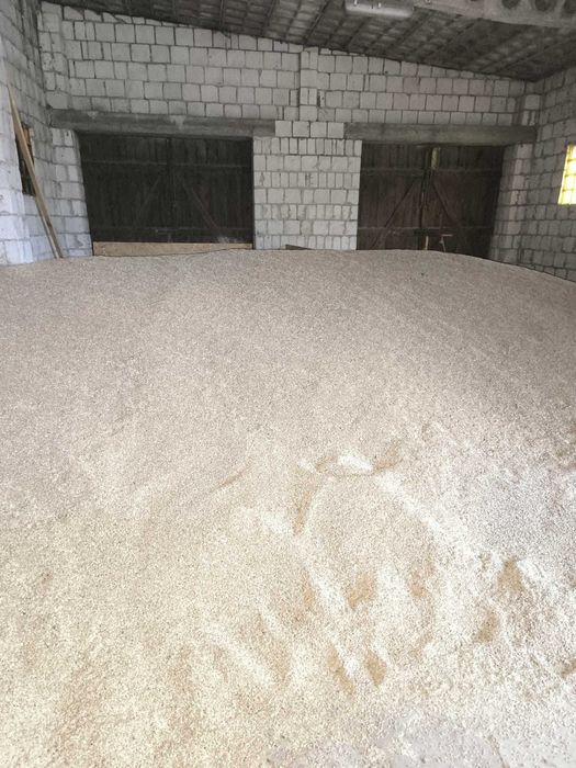 Zboże na sprzedaż żyto owies