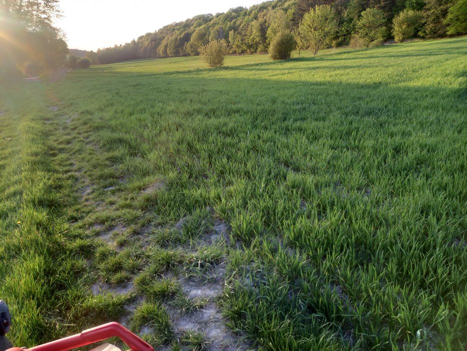 Działka budowlana 17 arów Piękny widok koło lasu - Widok 3