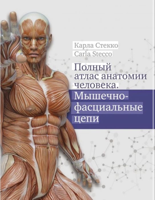 Полный атлас анатомии человека. Мышечно-фасциальные цепи