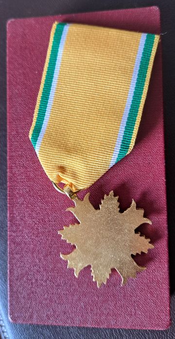 Medal za ZASŁUGI dla LOPP- stopień  zloty - II RP