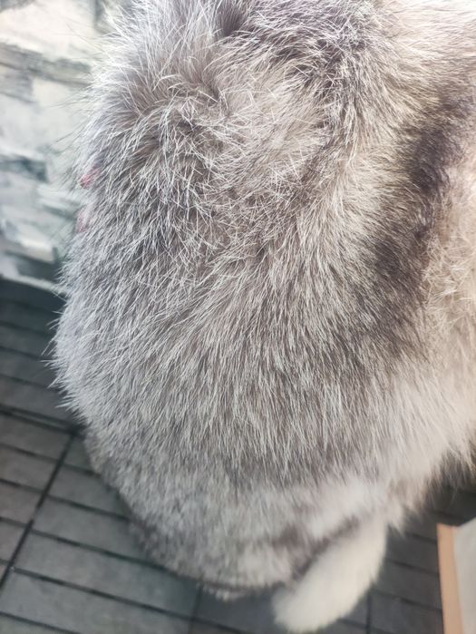 Воротник песец натуральный