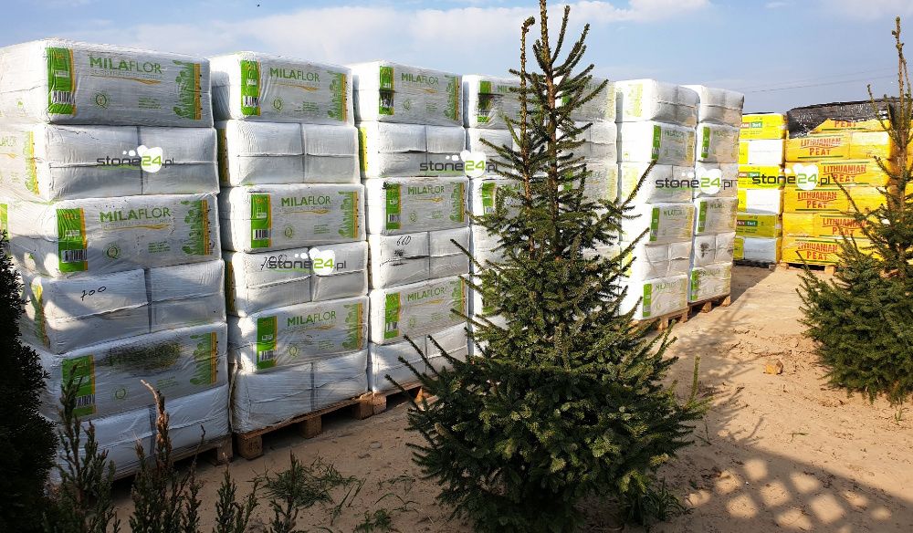 Torf 250 Kwasny Litewski Substrat Torfowy odkwaszony z nawozem borowka