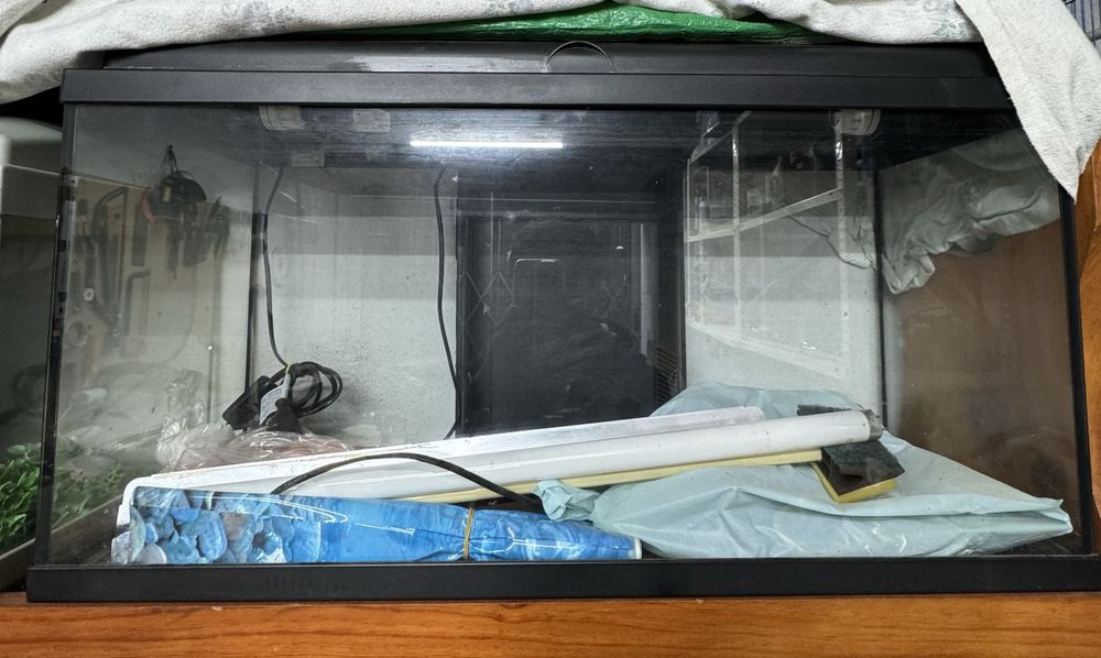 Aquário da Aquatlantis