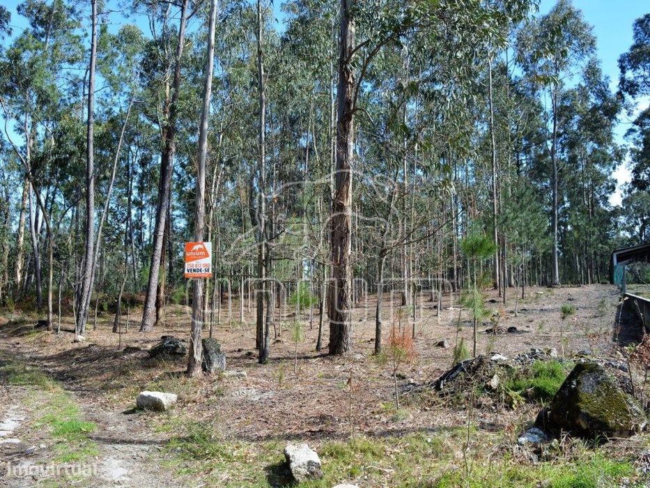 Fantástico terreno em Freixo — Ardegão, Freixo E Mato, Viana do Castelo