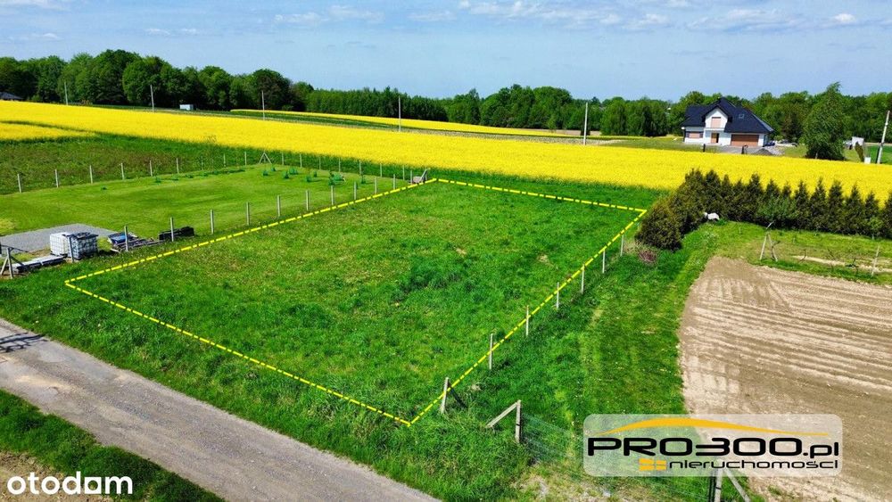 Działka z potencjałem – Pisarzowice | 966 m² - Widok 3