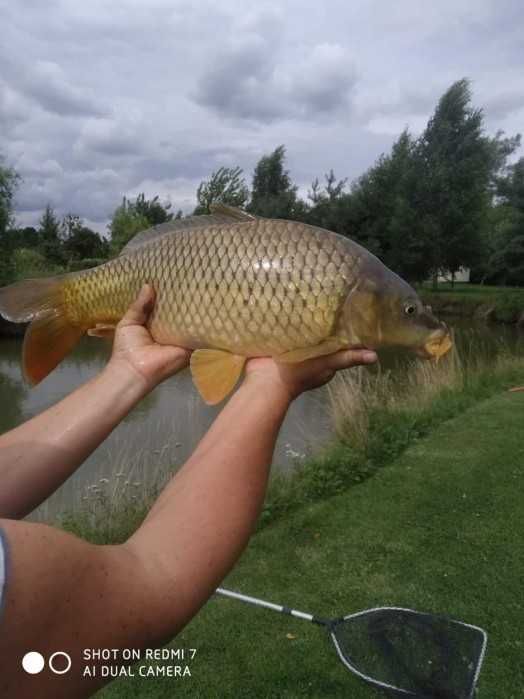 Wynajmę domek 6-ścio-osobowy
