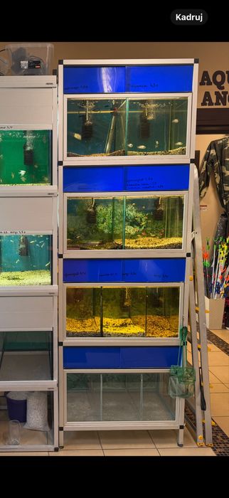 Regał akwarystyczny z akwariami