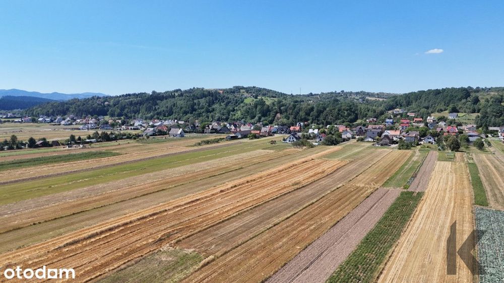 Działka 41ar budowlano-rolna Podegrodzie - Więcej