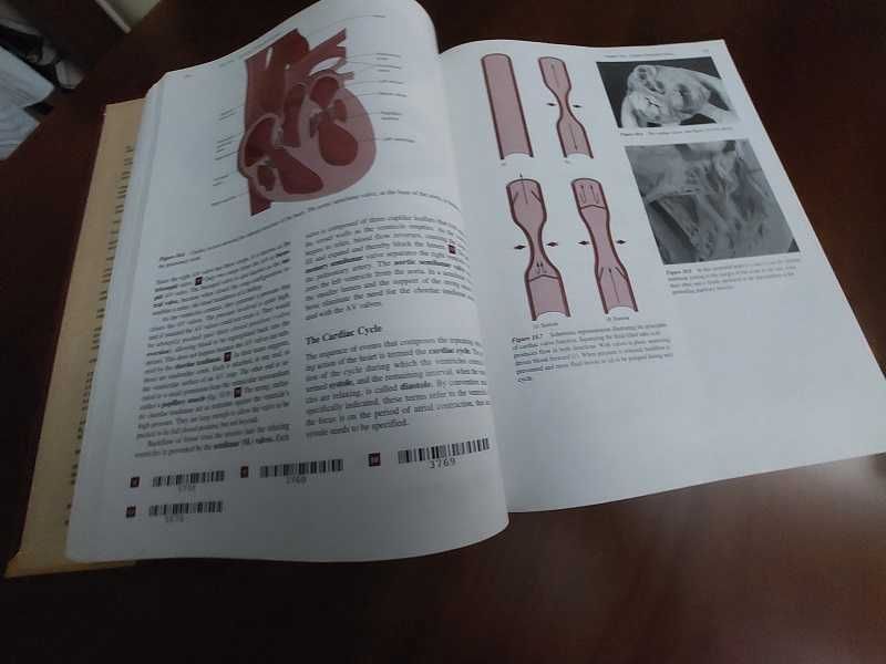 Livro Essentials of Pathophysiology - 2ª Edição, como novo