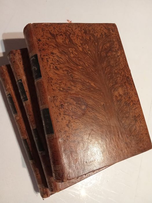 História Universal, 1882