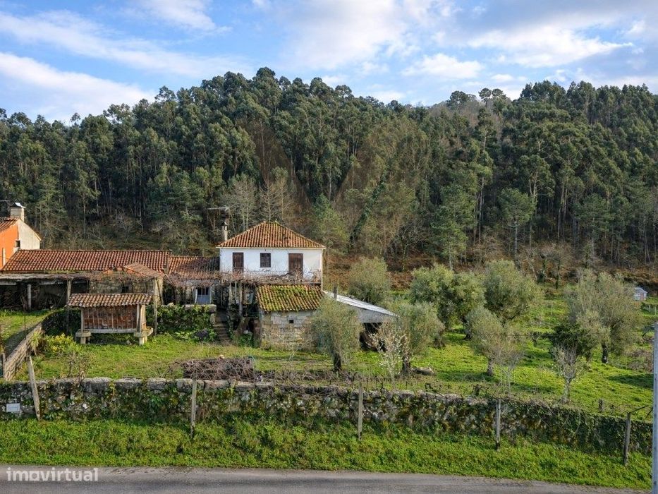 Propriedade com Casa Antiga T3 para Restauro - Beiral do Lima