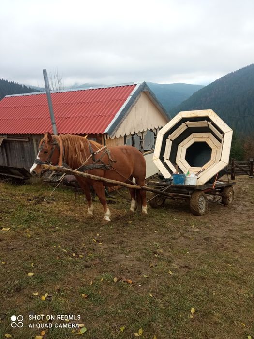 Продається новий чан