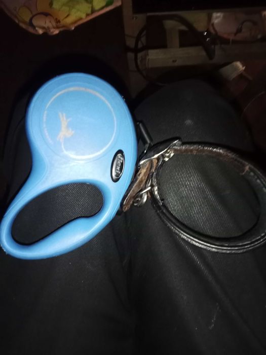 Поводок рулетка в отличном состоянии 350 грн