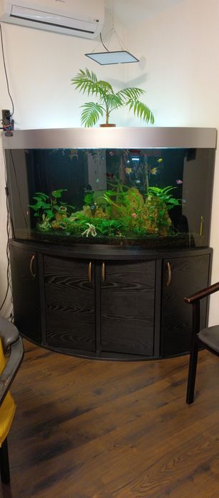 Акваріум 500 літрів