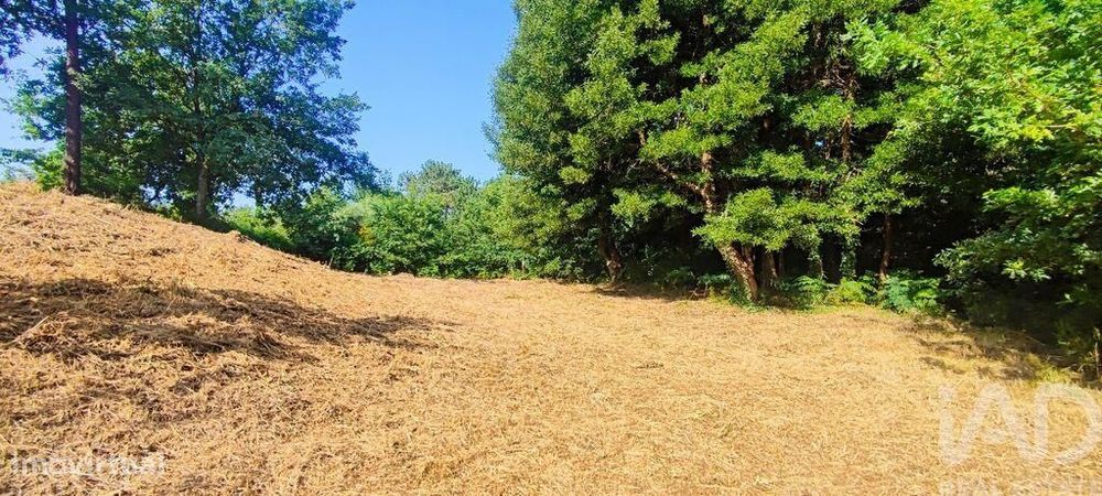 Terreno em Romarigães