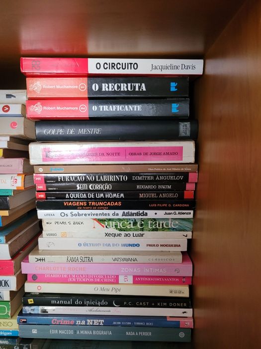 Livros variados temas