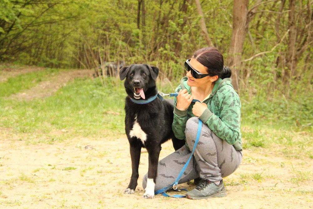 JOGIN - przyjazny, łągodny, wesoły. [FILMIKI]