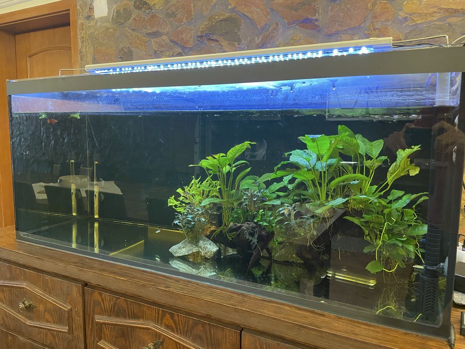 Aquario 120x50x50 vendo ou troco