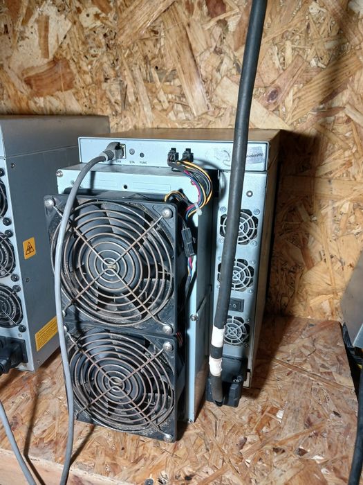 Аsic  Avalon  81  T(не убиваем)