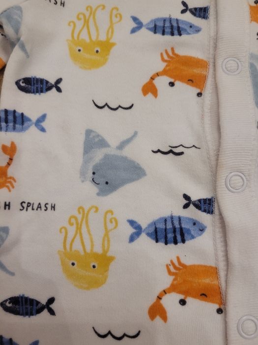 Uroczy pajac rybki 3 - 6 m 68