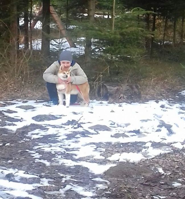 В’язка Акіта іну хлопчик