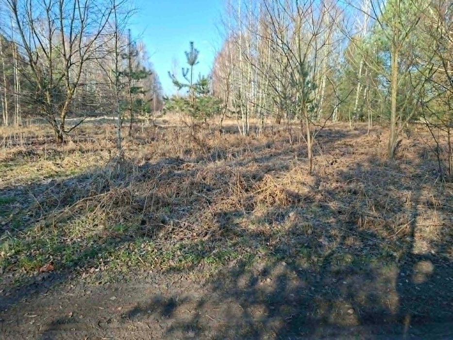 Działka budowlana Radziwiłłów - Widok 2