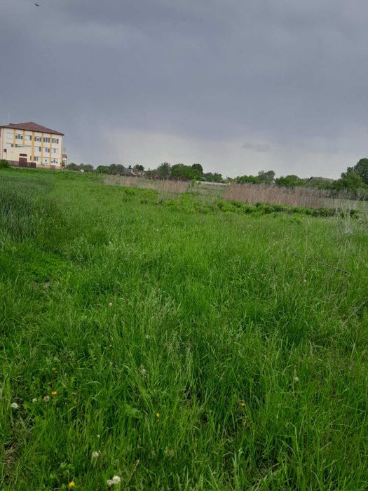 Продаж будинку та земельної ділянки