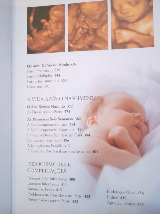 A sua Gravidez Semana a semana