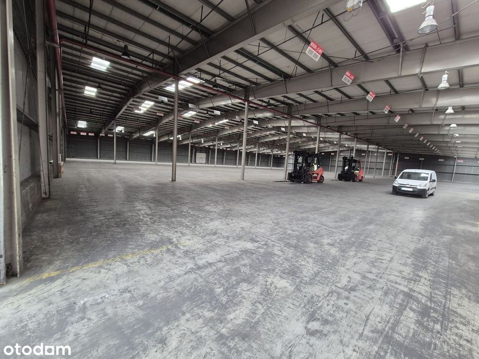 Wynajem powierzchni magazynowej wraz z obsługą