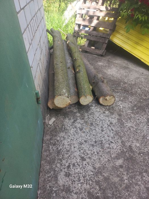 Продам свежесрезанный кругляк липы .