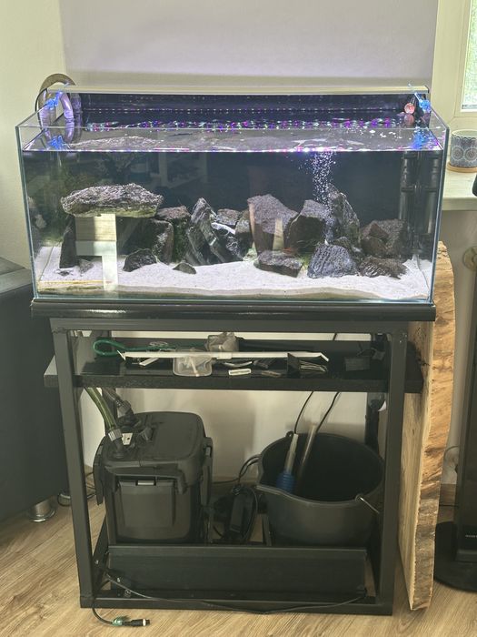 Akwarium 100 l optiwhite zestaw kompet