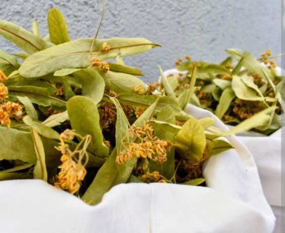 Цвіт липи сушений