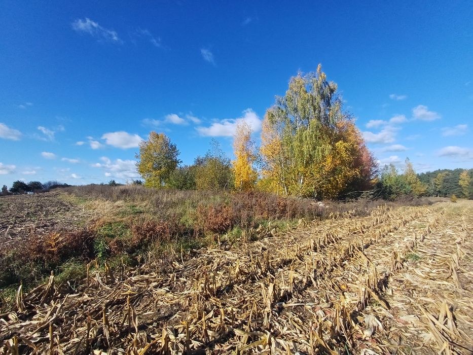 działka nieużytek 5000m2