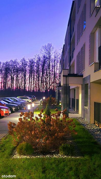 Mieszkanie 2 pokoje + kuchnia - blisko centrum nowy blok koło lasu