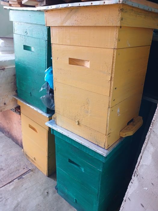 Продаётся пасека