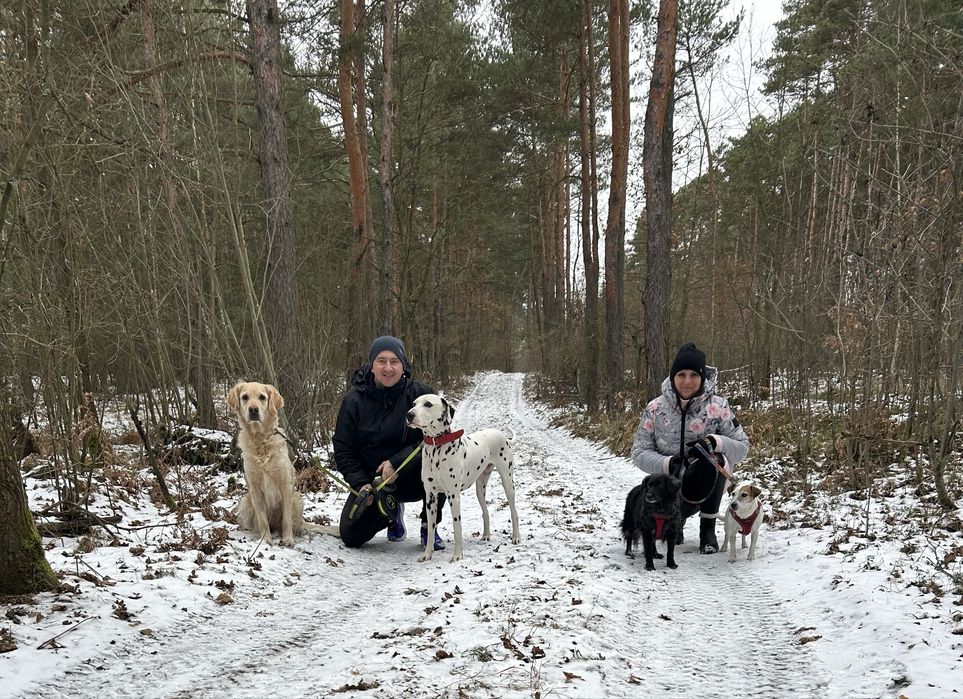 Psi Hotel  "Na Pięknej" - Śląsk i okolice!!!