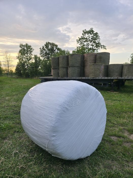 Bele z lucerny sianokiszonka lucerna