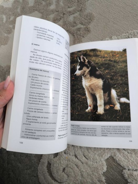 Livro O Husky Siberiano