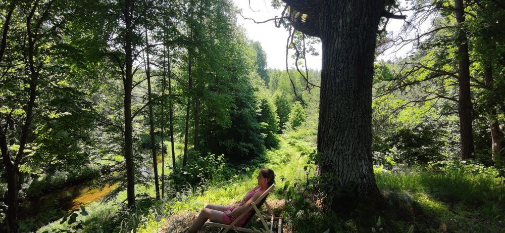 Domek w lesie nad rzeką Marycha,  Zelwa,  Podlasie