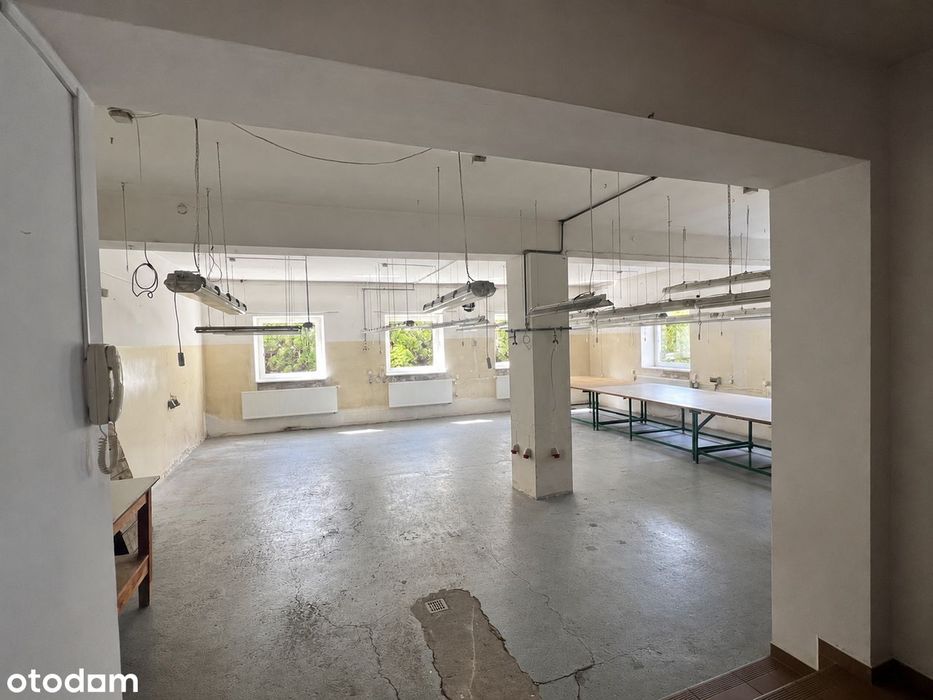 Uniwersalny lokal 110 m² na parterze – Teren ogrodzony, parking