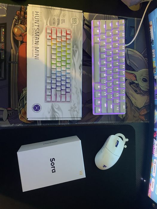 Razer huntsman mini