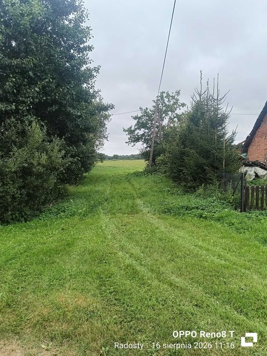 Działka 78 arów - Widok 3