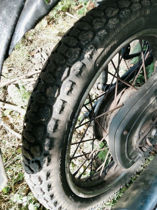Рарітєт завжди в моді