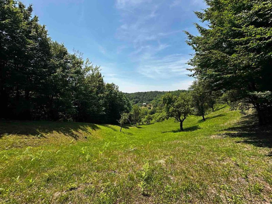 Продається старий будинок з великою земельною ділянкою