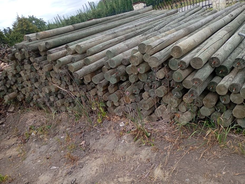 Słupki drewniane 5 m sadownicze