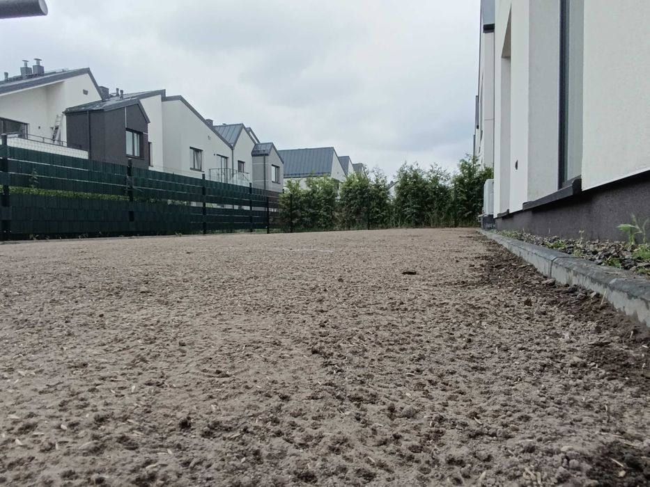 Trawnik z siewu i rolki.  OGRODY  Serwis trawnika   Formowanie roślin