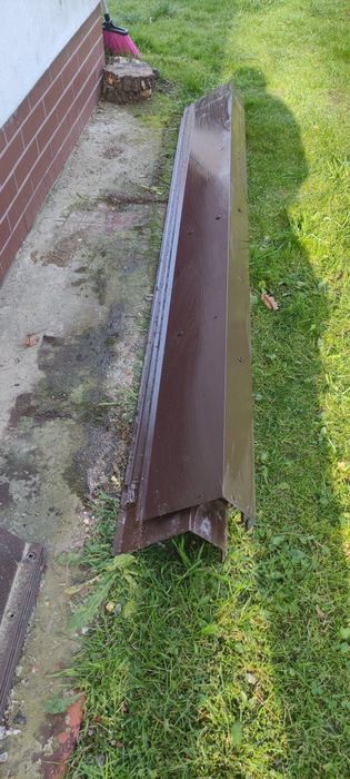 Blachy opierzenie , wiatrownice brązowe