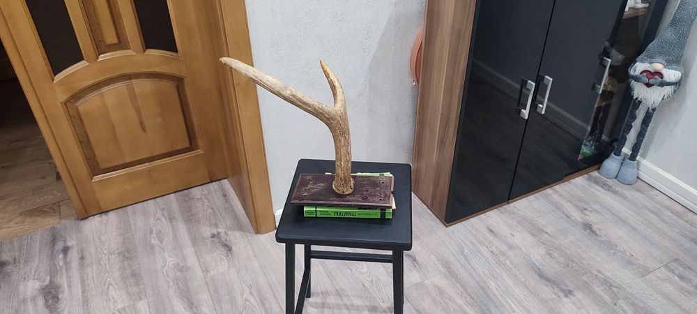 Интерьєр, Декор, Роги. Декор на стіну.