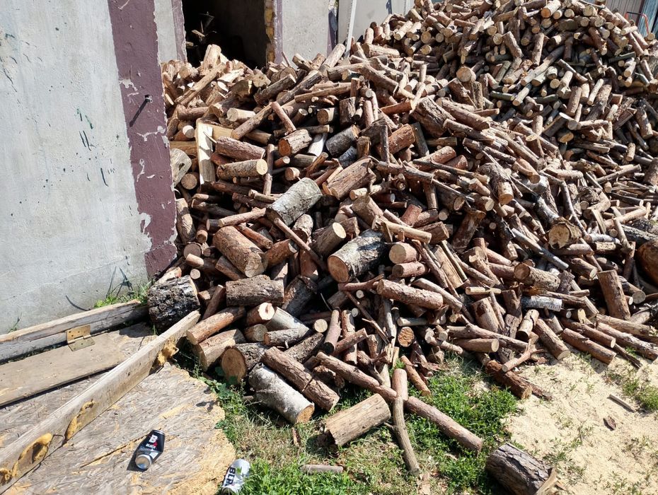 Drzewo sosnowe cięte