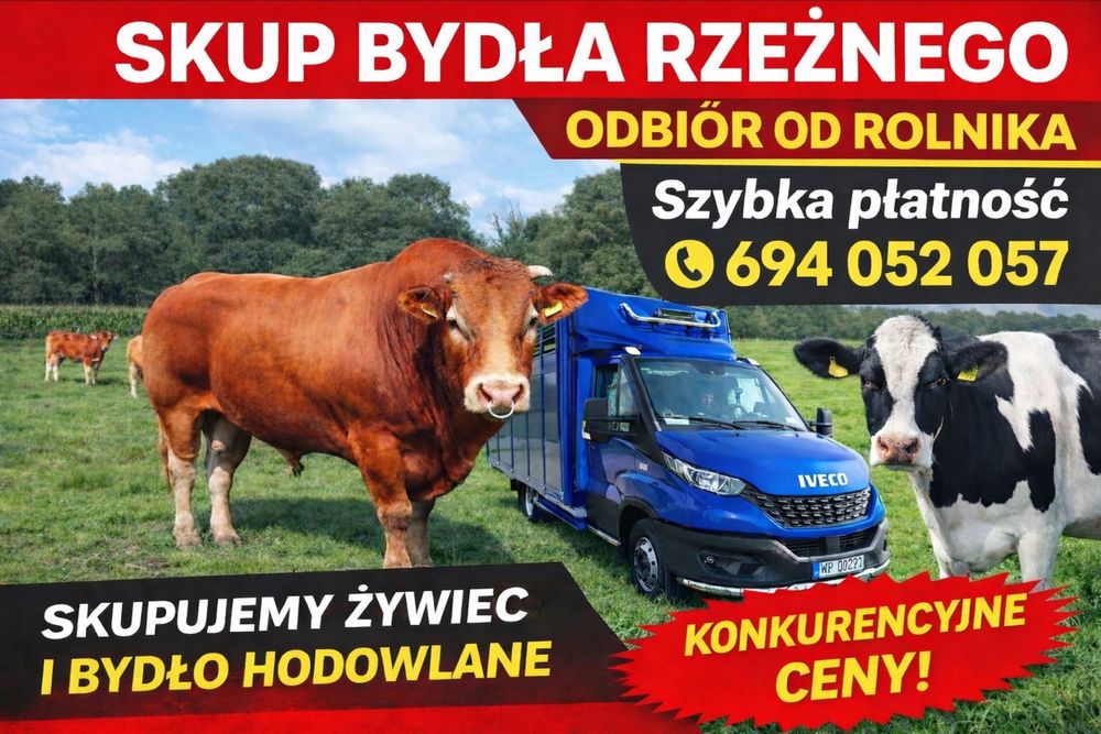 Skup i uboj bydła rzeznego